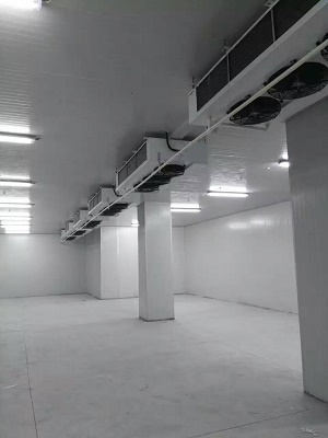 1479882528687773.jpg mmexport1479882469174.jpg